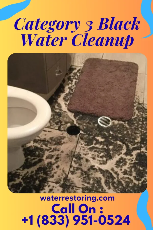Category 3 Black Water Cleanup in Shelly, MN