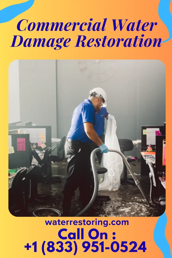 Commercial Water Damage Restoration in Shelly, MN
