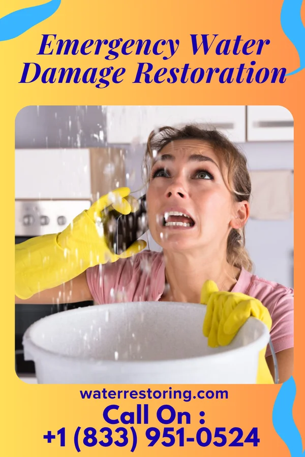 Emergency Water Damage Restoration in Shelly, MN