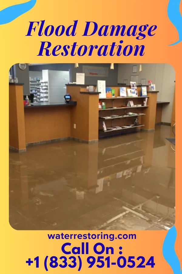 Flood Damage Restoration in Shelly, MN