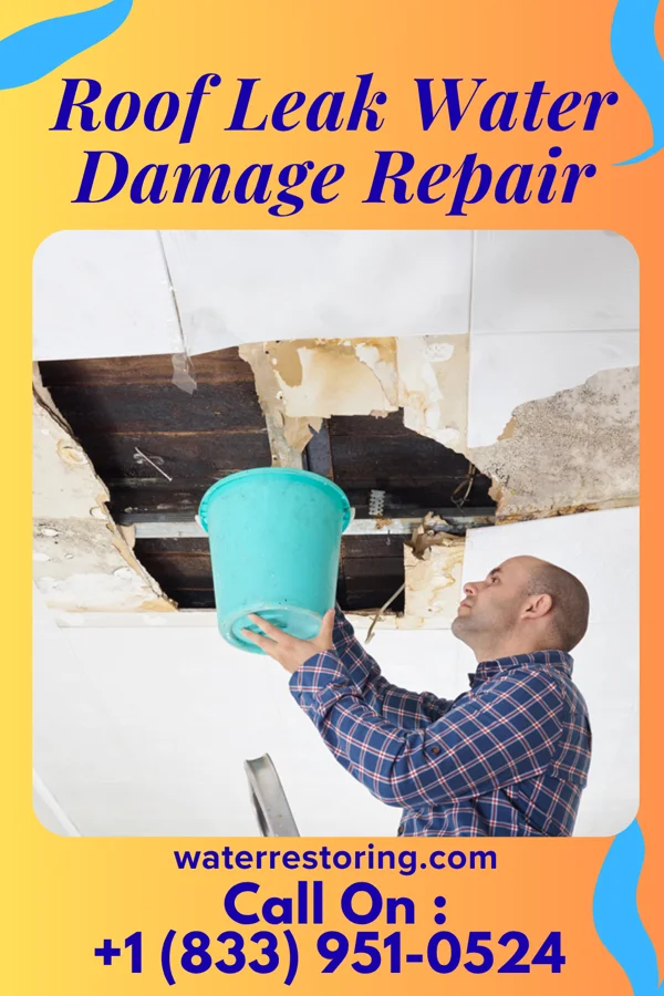 Roof Leak Water Damage Repair in Shelly, MN