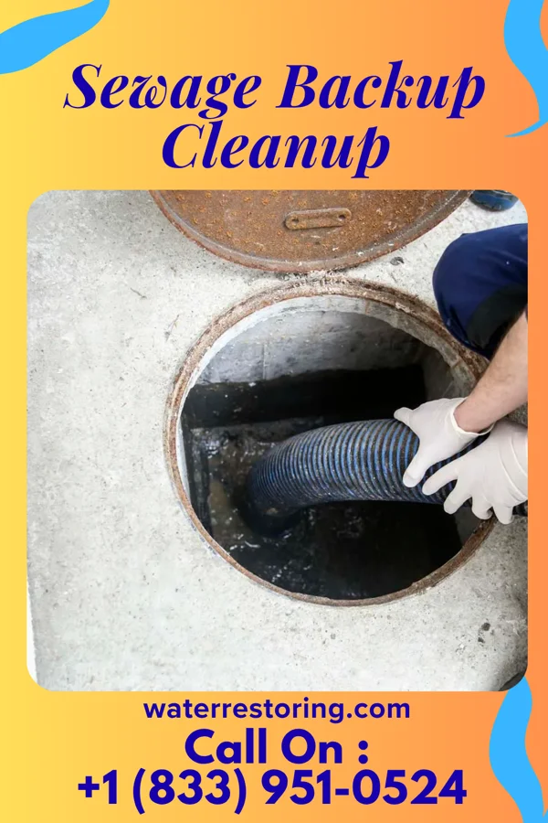 Sewage Backup Cleanup in Shelly, MN